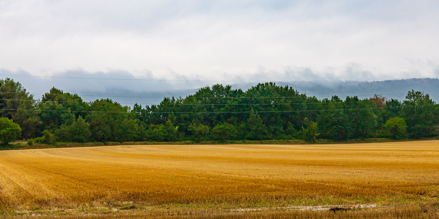 accumulation,périgrination,Photographies - Photographies - Frank César LOVISOLO - L’accumulation est une technique artistique popularisée par Arman, artiste français qui l’a beaucoup travaillée et théorisée. Tel qu’Arman la définit et la produit, l’accumulation est un rassemblement d’objets identiques dans une très grande quantité, généralement fondue dans du plexiglas.