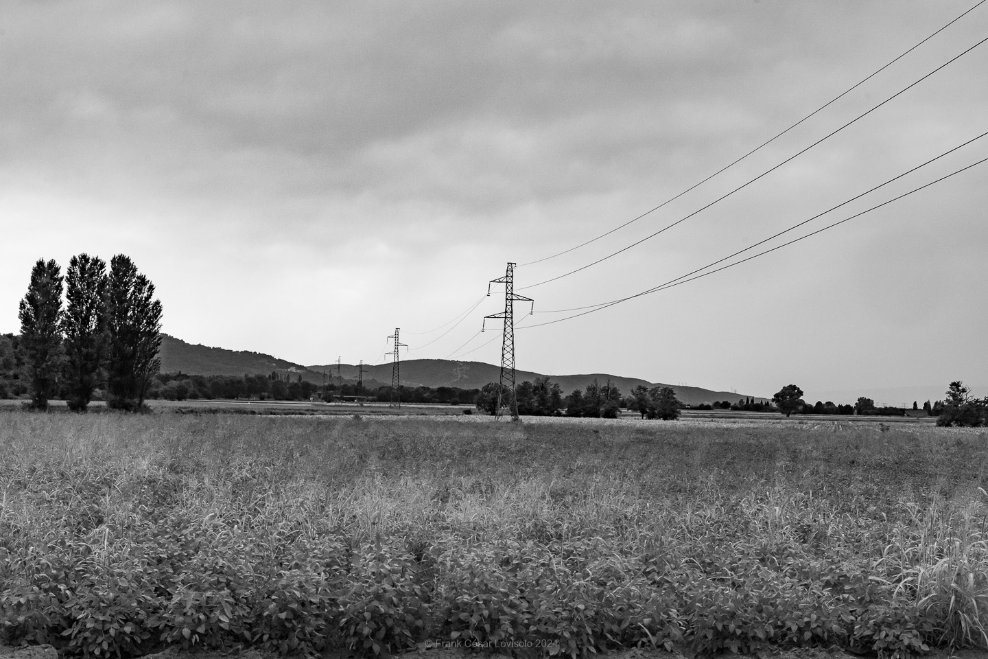 accumulation,périgrination,Photographies - Photographies - Frank César LOVISOLO - L’accumulation est une technique artistique popularisée par Arman, artiste français qui l’a beaucoup travaillée et théorisée. Tel qu’Arman la définit et la produit, l’accumulation est un rassemblement d’objets identiques dans une très grande quantité, généralement fondue dans du plexiglas.