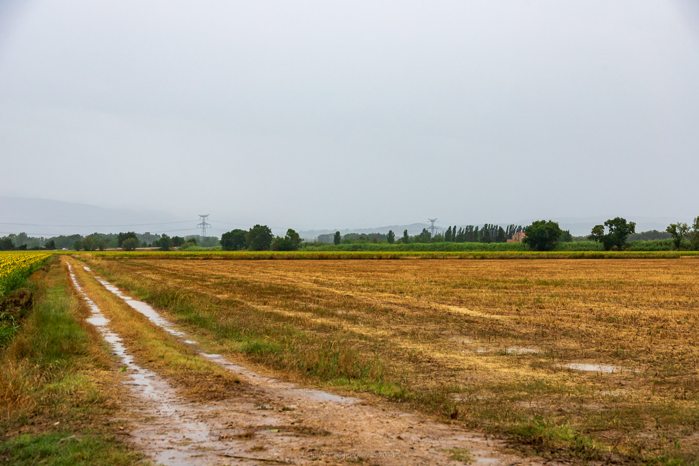 accumulation,périgrination,Photographies - Photographies - Frank César LOVISOLO - L’accumulation est une technique artistique popularisée par Arman, artiste français qui l’a beaucoup travaillée et théorisée. Tel qu’Arman la définit et la produit, l’accumulation est un rassemblement d’objets identiques dans une très grande quantité, généralement fondue dans du plexiglas.