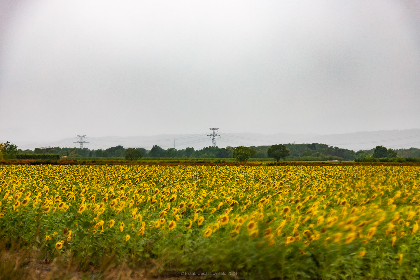 accumulation,périgrination,Photographies - Photographies - Frank César LOVISOLO - L’accumulation est une technique artistique popularisée par Arman, artiste français qui l’a beaucoup travaillée et théorisée. Tel qu’Arman la définit et la produit, l’accumulation est un rassemblement d’objets identiques dans une très grande quantité, généralement fondue dans du plexiglas.