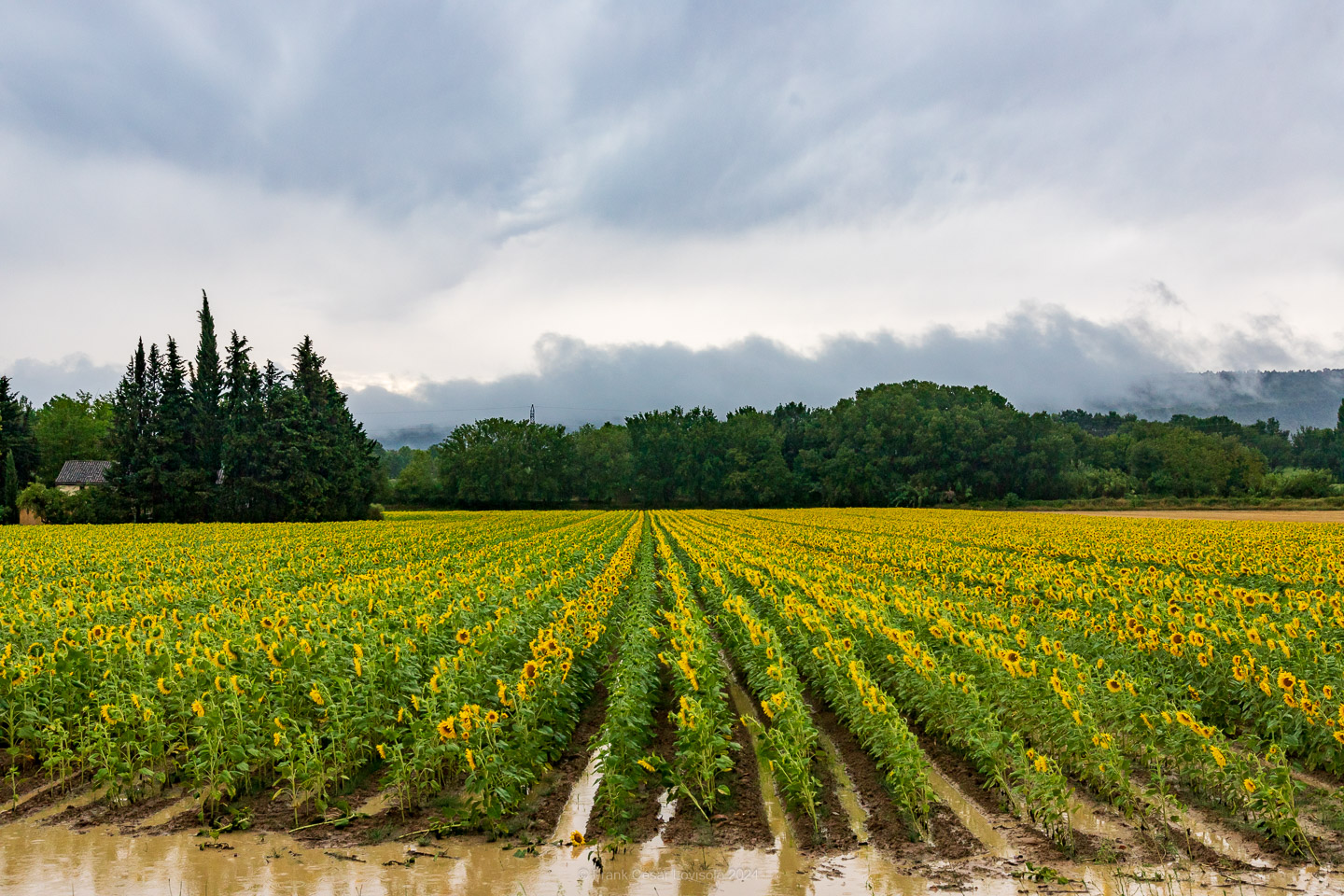 accumulation,périgrination,Photographies - Photographies - Frank César LOVISOLO - L’accumulation est une technique artistique popularisée par Arman, artiste français qui l’a beaucoup travaillée et théorisée. Tel qu’Arman la définit et la produit, l’accumulation est un rassemblement d’objets identiques dans une très grande quantité, généralement fondue dans du plexiglas.