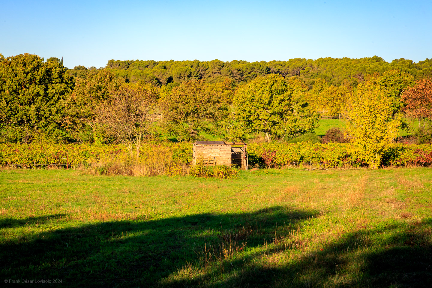 accumulation,périgrination,Photographies - Photographies - Frank César LOVISOLO - L’accumulation est une technique artistique popularisée par Arman, artiste français qui l’a beaucoup travaillée et théorisée. Tel qu’Arman la définit et la produit, l’accumulation est un rassemblement d’objets identiques dans une très grande quantité, généralement fondue dans du plexiglas.