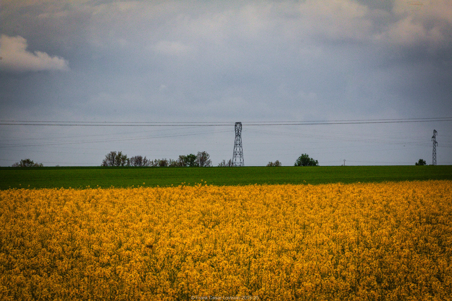 accumulation,périgrination,Photographies - Photographies - Frank César LOVISOLO - L’accumulation est une technique artistique popularisée par Arman, artiste français qui l’a beaucoup travaillée et théorisée. Tel qu’Arman la définit et la produit, l’accumulation est un rassemblement d’objets identiques dans une très grande quantité, généralement fondue dans du plexiglas.