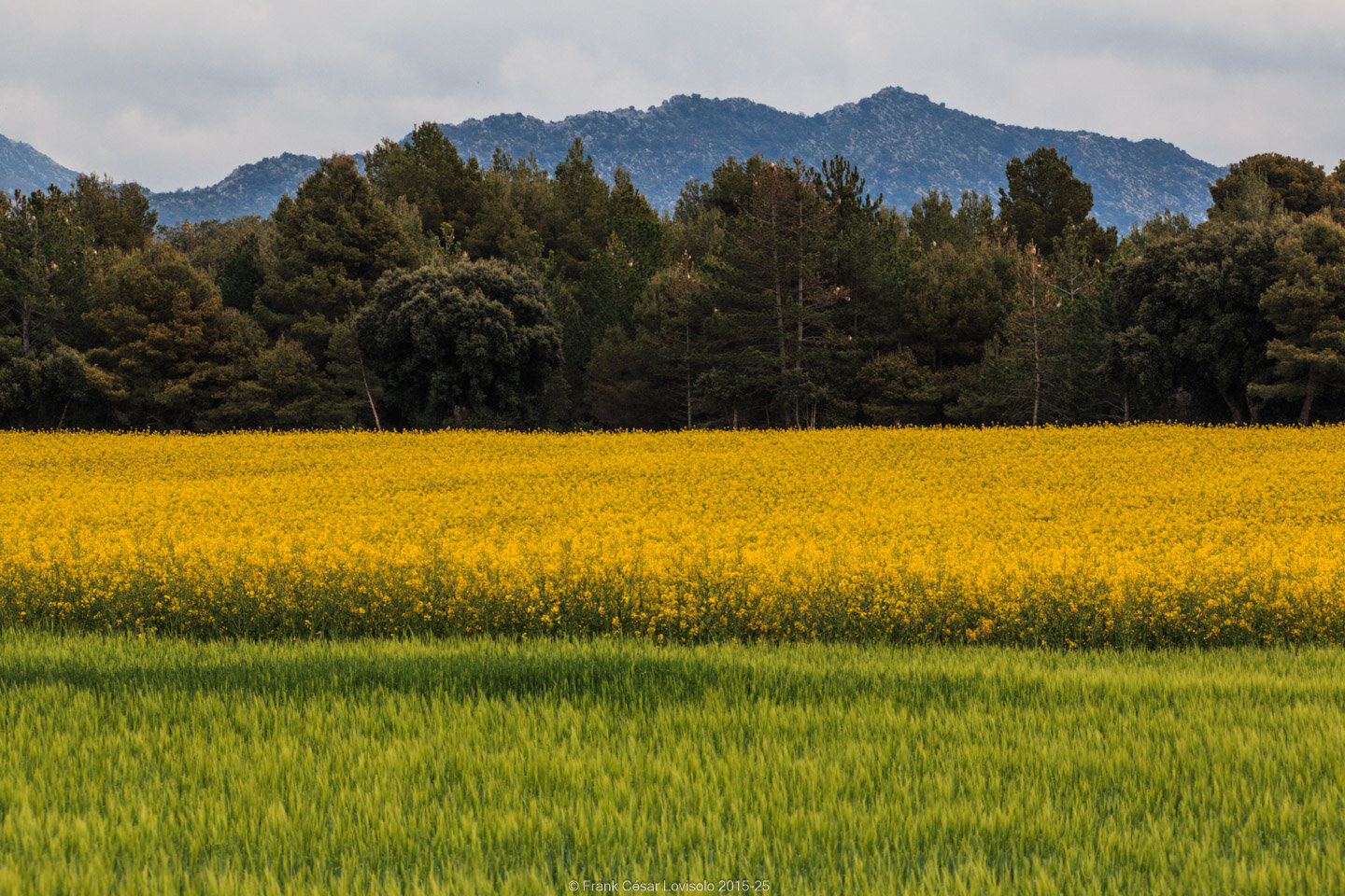 accumulation,périgrination,Photographies - Photographies - Frank César LOVISOLO - L’accumulation est une technique artistique popularisée par Arman, artiste français qui l’a beaucoup travaillée et théorisée. Tel qu’Arman la définit et la produit, l’accumulation est un rassemblement d’objets identiques dans une très grande quantité, généralement fondue dans du plexiglas.