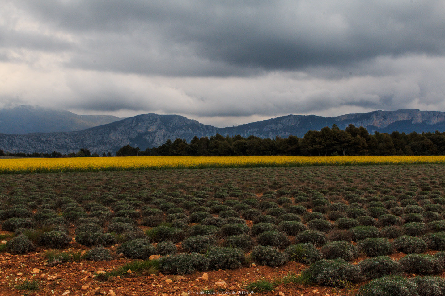 accumulation,périgrination,Photographies - Photographies - Frank César LOVISOLO - L’accumulation est une technique artistique popularisée par Arman, artiste français qui l’a beaucoup travaillée et théorisée. Tel qu’Arman la définit et la produit, l’accumulation est un rassemblement d’objets identiques dans une très grande quantité, généralement fondue dans du plexiglas.