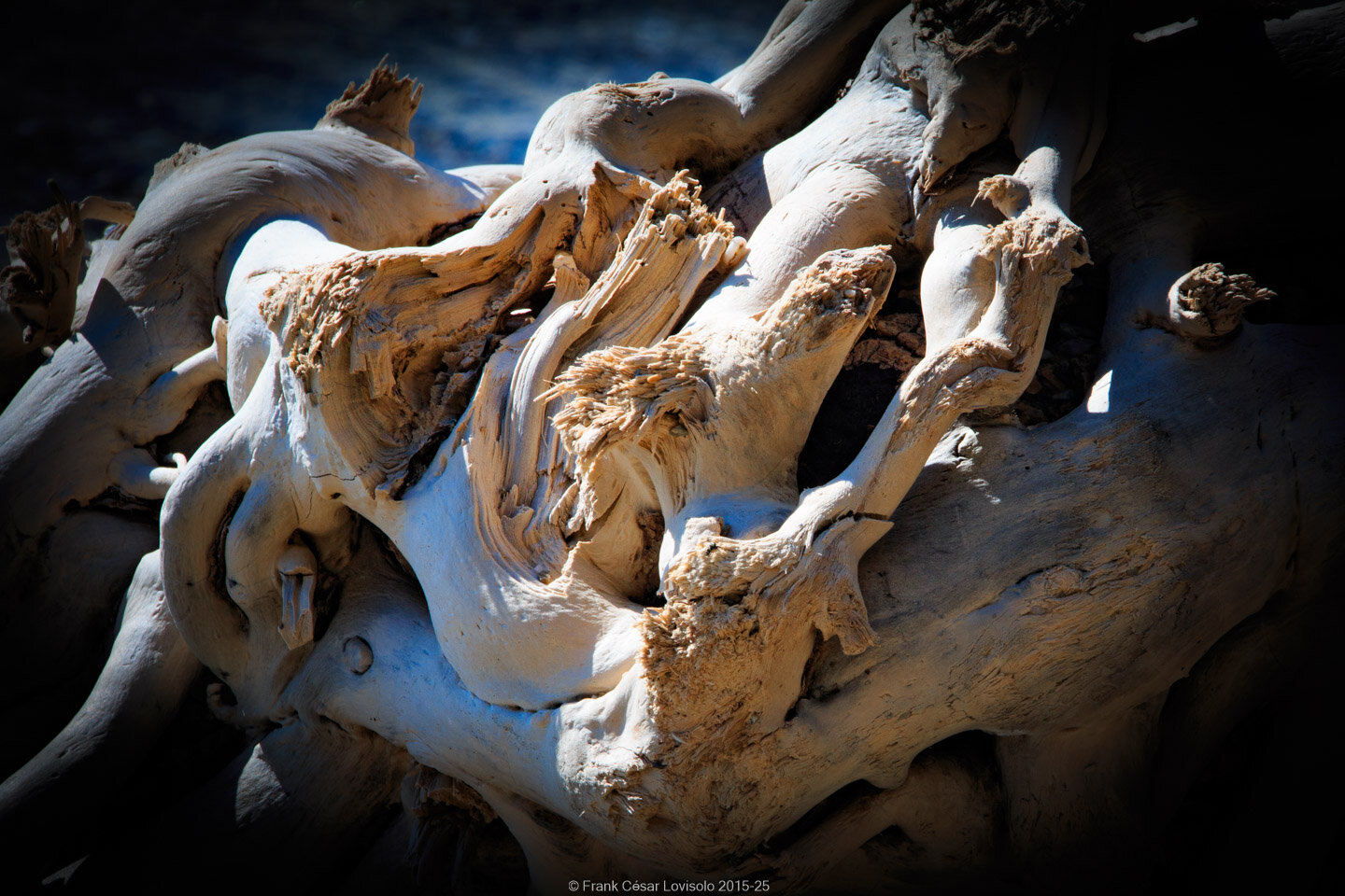 accumulation,périgrination,Photographies - Photographies - Frank César LOVISOLO - L’accumulation est une technique artistique popularisée par Arman, artiste français qui l’a beaucoup travaillée et théorisée. Tel qu’Arman la définit et la produit, l’accumulation est un rassemblement d’objets identiques dans une très grande quantité, généralement fondue dans du plexiglas.