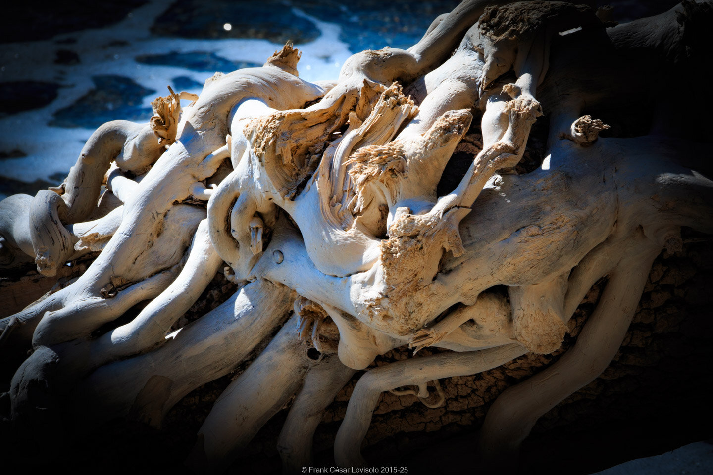 accumulation,périgrination,Photographies - Photographies - Frank César LOVISOLO - L’accumulation est une technique artistique popularisée par Arman, artiste français qui l’a beaucoup travaillée et théorisée. Tel qu’Arman la définit et la produit, l’accumulation est un rassemblement d’objets identiques dans une très grande quantité, généralement fondue dans du plexiglas.