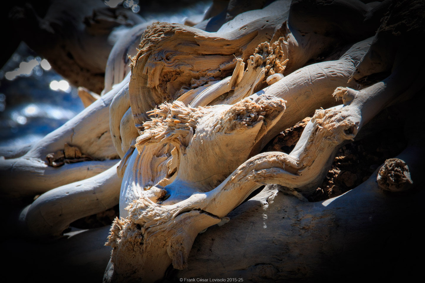 accumulation,périgrination,Photographies - Photographies - Frank César LOVISOLO - L’accumulation est une technique artistique popularisée par Arman, artiste français qui l’a beaucoup travaillée et théorisée. Tel qu’Arman la définit et la produit, l’accumulation est un rassemblement d’objets identiques dans une très grande quantité, généralement fondue dans du plexiglas.