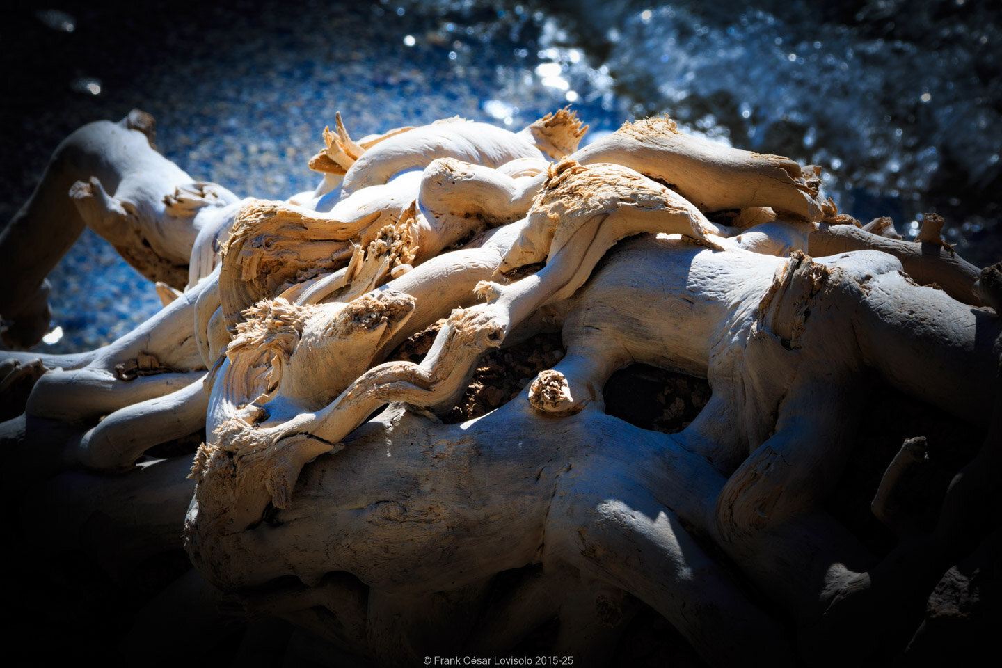 accumulation,périgrination,Photographies - Photographies - Frank César LOVISOLO - L’accumulation est une technique artistique popularisée par Arman, artiste français qui l’a beaucoup travaillée et théorisée. Tel qu’Arman la définit et la produit, l’accumulation est un rassemblement d’objets identiques dans une très grande quantité, généralement fondue dans du plexiglas.