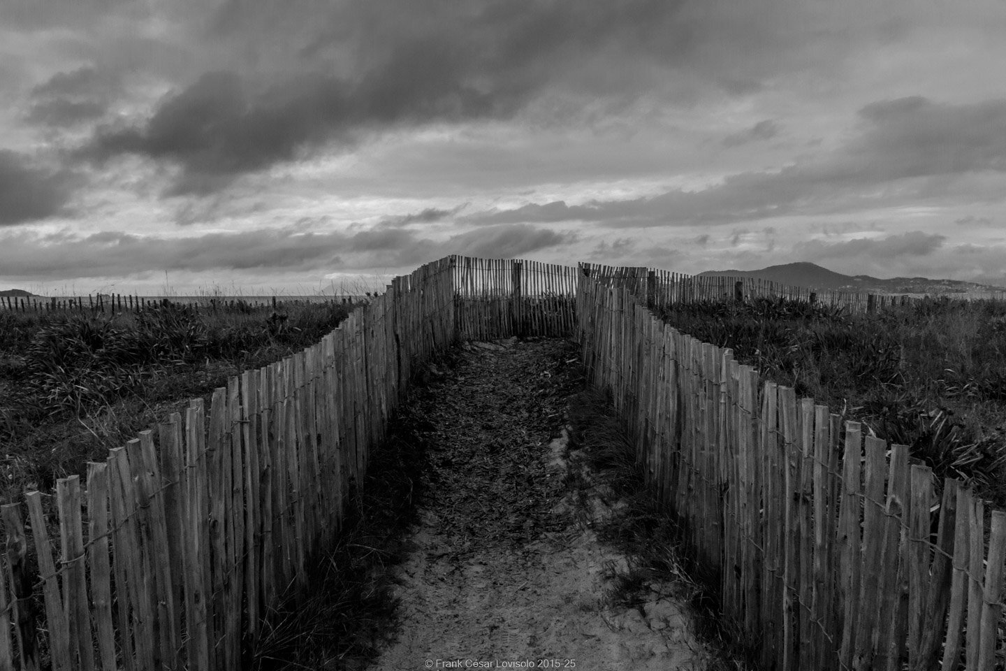 accumulation,périgrination,Photographies - Photographies - Frank César LOVISOLO - L’accumulation est une technique artistique popularisée par Arman, artiste français qui l’a beaucoup travaillée et théorisée. Tel qu’Arman la définit et la produit, l’accumulation est un rassemblement d’objets identiques dans une très grande quantité, généralement fondue dans du plexiglas.