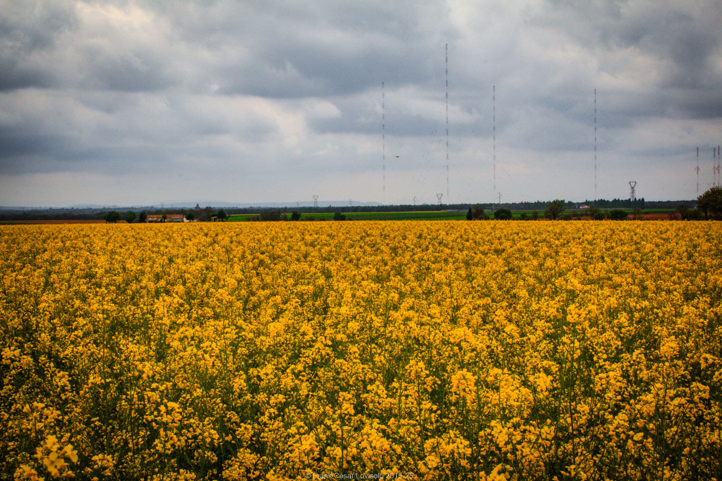 accumulation,périgrination,Photographies - Photographies - Frank César LOVISOLO - L’accumulation est une technique artistique popularisée par Arman, artiste français qui l’a beaucoup travaillée et théorisée. Tel qu’Arman la définit et la produit, l’accumulation est un rassemblement d’objets identiques dans une très grande quantité, généralement fondue dans du plexiglas.
