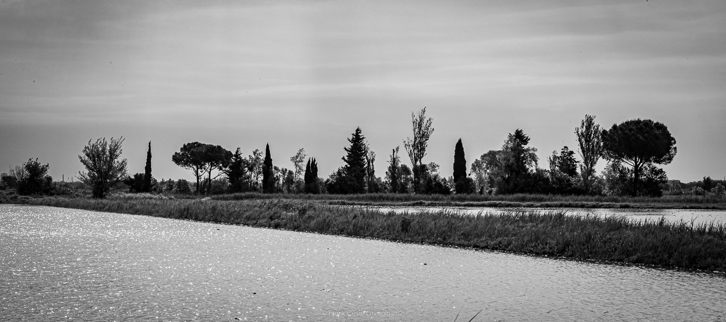 accumulation,périgrination,Photographies - Photographies - Frank César LOVISOLO - L’accumulation est une technique artistique popularisée par Arman, artiste français qui l’a beaucoup travaillée et théorisée. Tel qu’Arman la définit et la produit, l’accumulation est un rassemblement d’objets identiques dans une très grande quantité, généralement fondue dans du plexiglas.