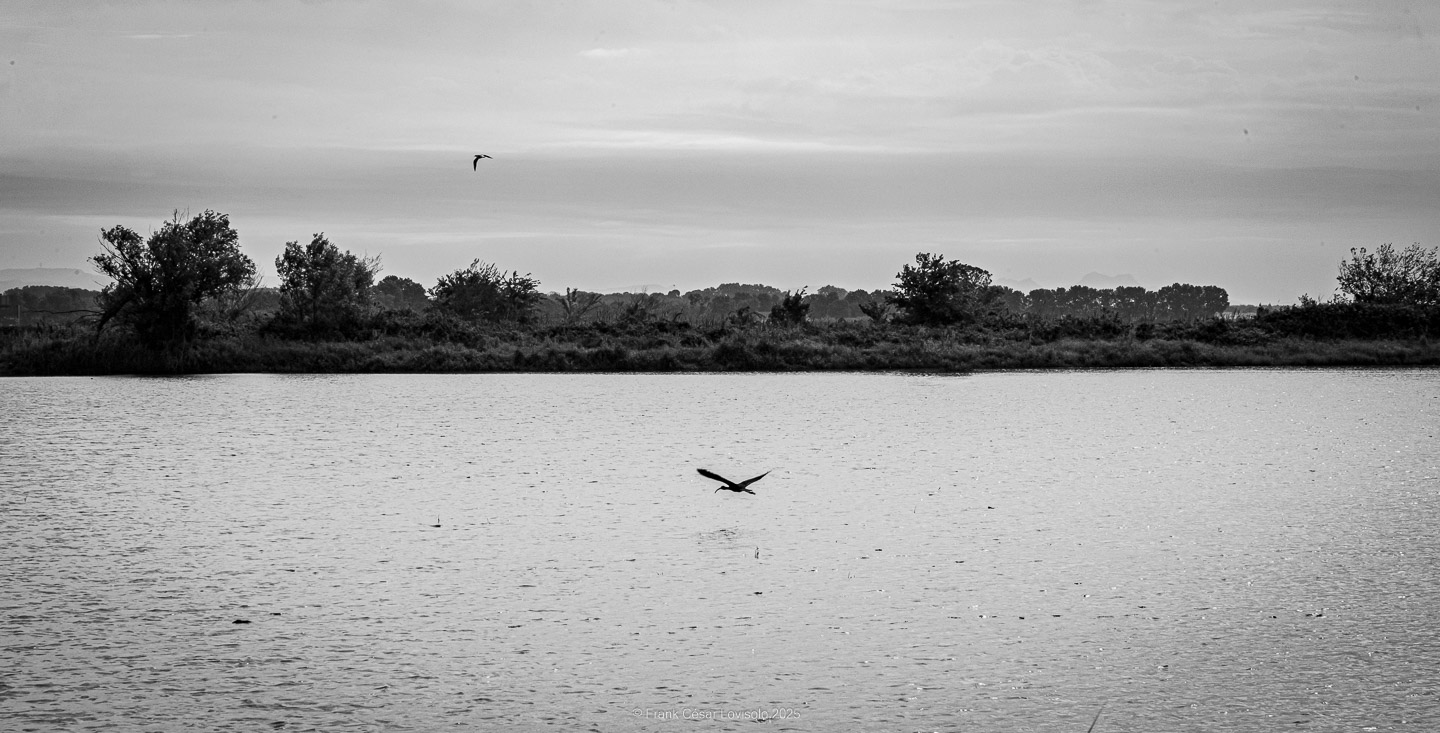 accumulation,périgrination,Photographies - Photographies - Frank César LOVISOLO - L’accumulation est une technique artistique popularisée par Arman, artiste français qui l’a beaucoup travaillée et théorisée. Tel qu’Arman la définit et la produit, l’accumulation est un rassemblement d’objets identiques dans une très grande quantité, généralement fondue dans du plexiglas.