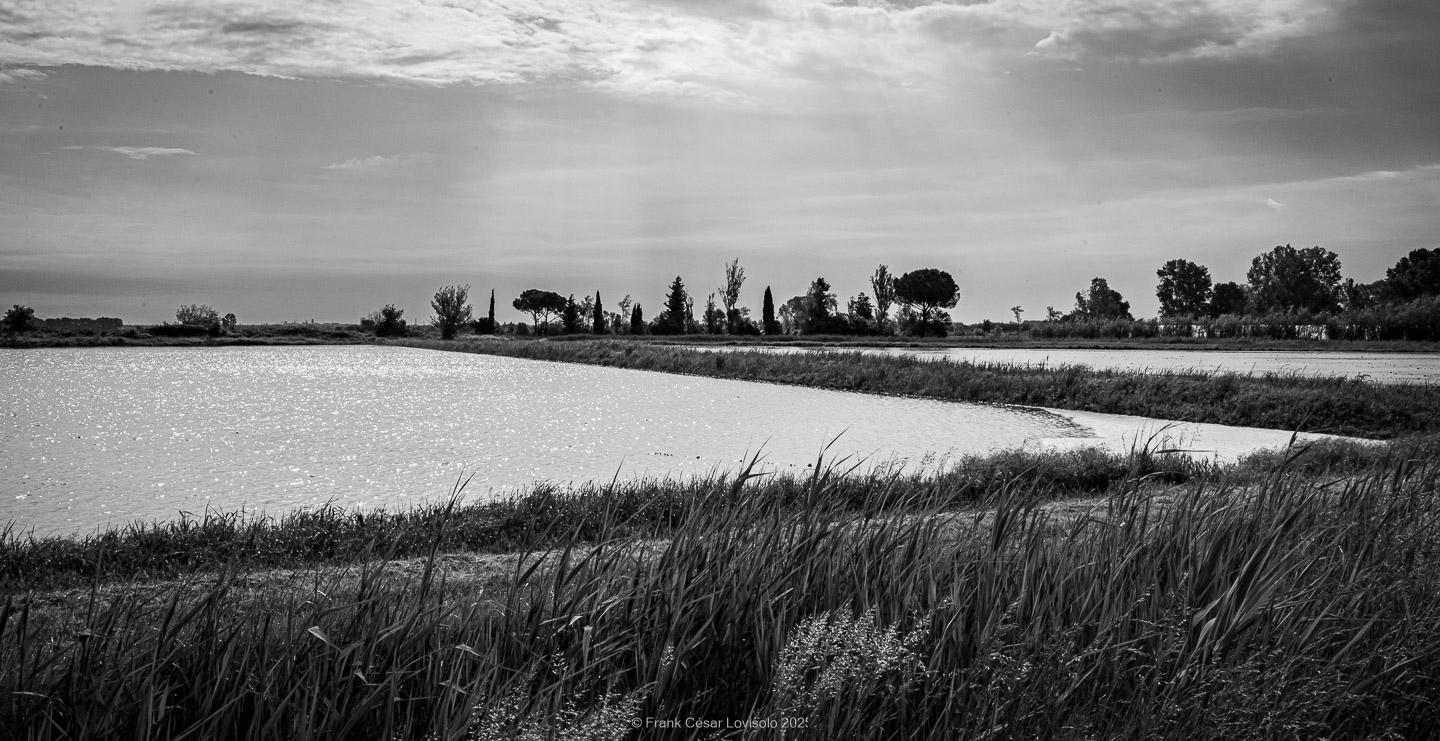 accumulation,périgrination,Photographies - Photographies - Frank César LOVISOLO - L’accumulation est une technique artistique popularisée par Arman, artiste français qui l’a beaucoup travaillée et théorisée. Tel qu’Arman la définit et la produit, l’accumulation est un rassemblement d’objets identiques dans une très grande quantité, généralement fondue dans du plexiglas.