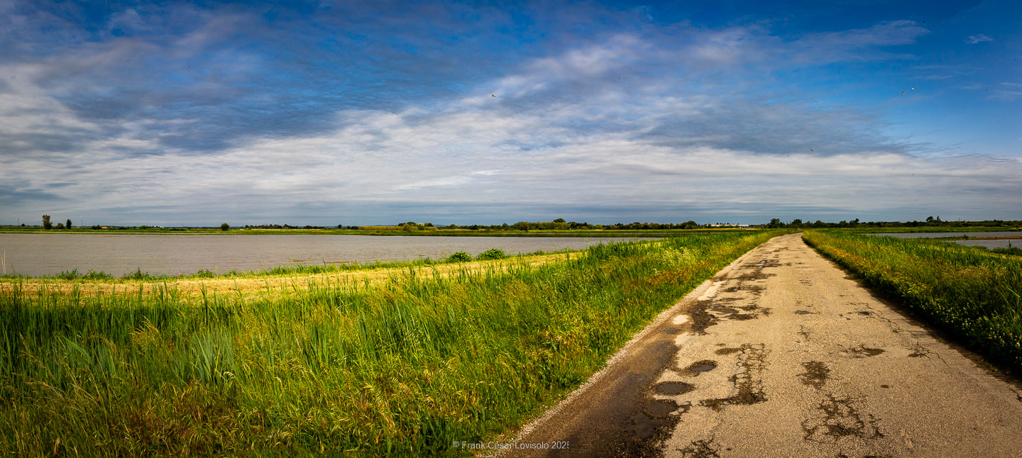 accumulation,périgrination,Photographies - Photographies - Frank César LOVISOLO - L’accumulation est une technique artistique popularisée par Arman, artiste français qui l’a beaucoup travaillée et théorisée. Tel qu’Arman la définit et la produit, l’accumulation est un rassemblement d’objets identiques dans une très grande quantité, généralement fondue dans du plexiglas.