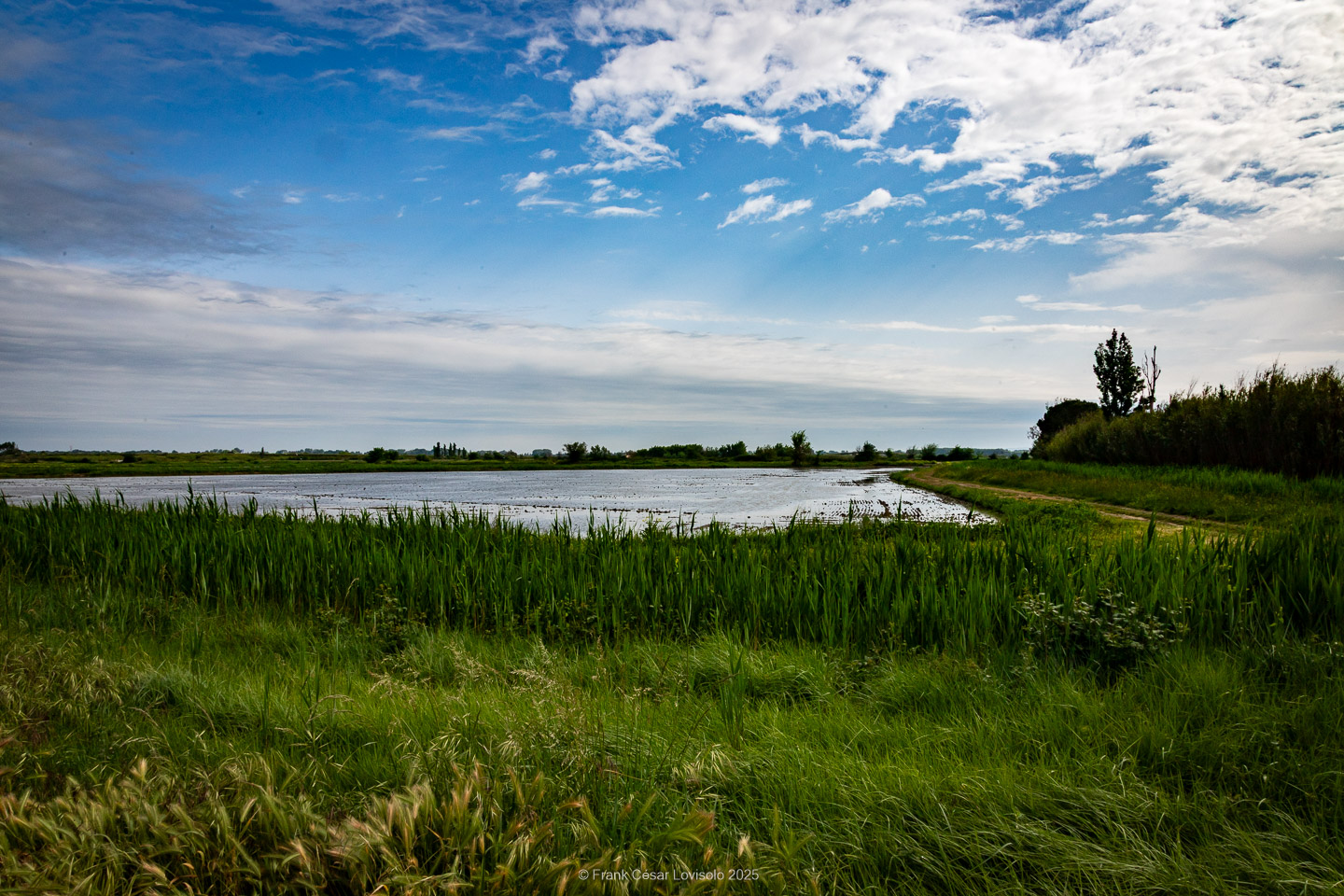 accumulation,périgrination,Photographies - Photographies - Frank César LOVISOLO - L’accumulation est une technique artistique popularisée par Arman, artiste français qui l’a beaucoup travaillée et théorisée. Tel qu’Arman la définit et la produit, l’accumulation est un rassemblement d’objets identiques dans une très grande quantité, généralement fondue dans du plexiglas.