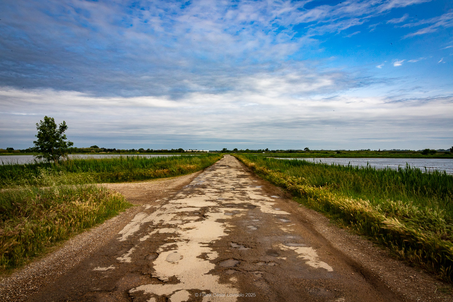 accumulation,périgrination,Photographies - Photographies - Frank César LOVISOLO - L’accumulation est une technique artistique popularisée par Arman, artiste français qui l’a beaucoup travaillée et théorisée. Tel qu’Arman la définit et la produit, l’accumulation est un rassemblement d’objets identiques dans une très grande quantité, généralement fondue dans du plexiglas.