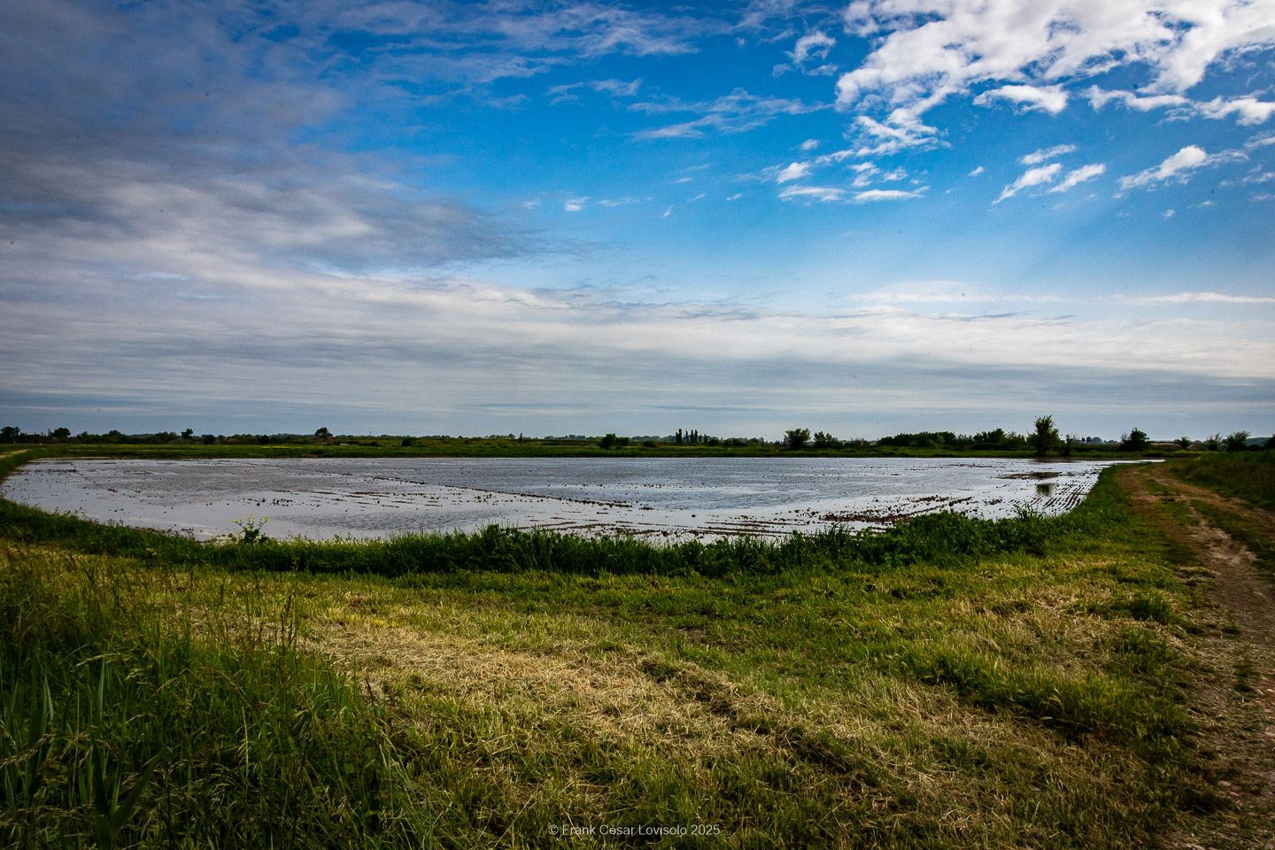 accumulation,périgrination,Photographies - Photographies - Frank César LOVISOLO - L’accumulation est une technique artistique popularisée par Arman, artiste français qui l’a beaucoup travaillée et théorisée. Tel qu’Arman la définit et la produit, l’accumulation est un rassemblement d’objets identiques dans une très grande quantité, généralement fondue dans du plexiglas.