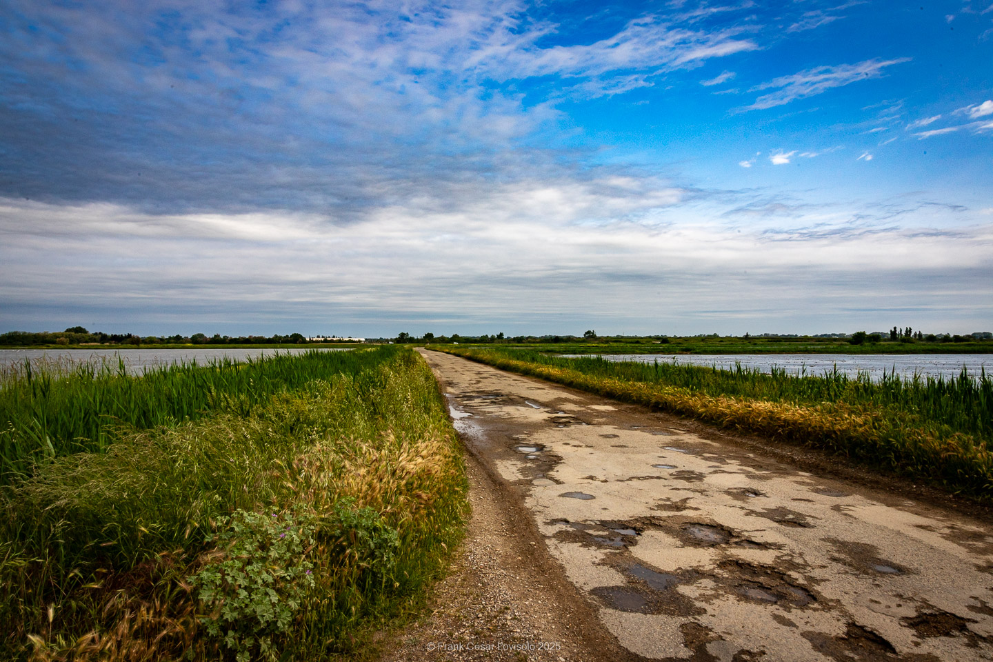 accumulation,périgrination,Photographies - Photographies - Frank César LOVISOLO - L’accumulation est une technique artistique popularisée par Arman, artiste français qui l’a beaucoup travaillée et théorisée. Tel qu’Arman la définit et la produit, l’accumulation est un rassemblement d’objets identiques dans une très grande quantité, généralement fondue dans du plexiglas.