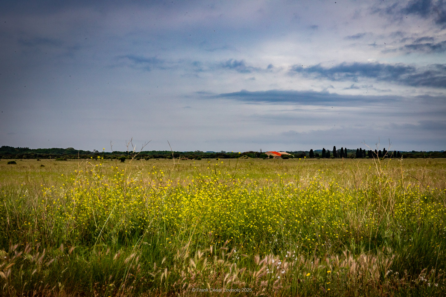 accumulation,périgrination,Photographies - Photographies - Frank César LOVISOLO - L’accumulation est une technique artistique popularisée par Arman, artiste français qui l’a beaucoup travaillée et théorisée. Tel qu’Arman la définit et la produit, l’accumulation est un rassemblement d’objets identiques dans une très grande quantité, généralement fondue dans du plexiglas.
