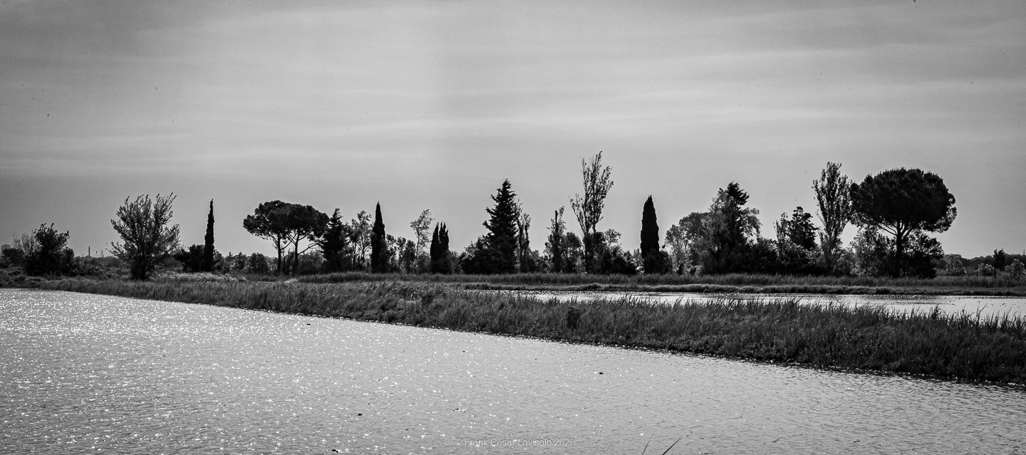 accumulation,périgrination,Photographies - Photographies - Frank César LOVISOLO - L’accumulation est une technique artistique popularisée par Arman, artiste français qui l’a beaucoup travaillée et théorisée. Tel qu’Arman la définit et la produit, l’accumulation est un rassemblement d’objets identiques dans une très grande quantité, généralement fondue dans du plexiglas.