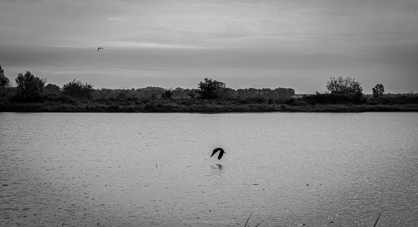 accumulation,périgrination,Photographies - Photographies - Frank César LOVISOLO - L’accumulation est une technique artistique popularisée par Arman, artiste français qui l’a beaucoup travaillée et théorisée. Tel qu’Arman la définit et la produit, l’accumulation est un rassemblement d’objets identiques dans une très grande quantité, généralement fondue dans du plexiglas.