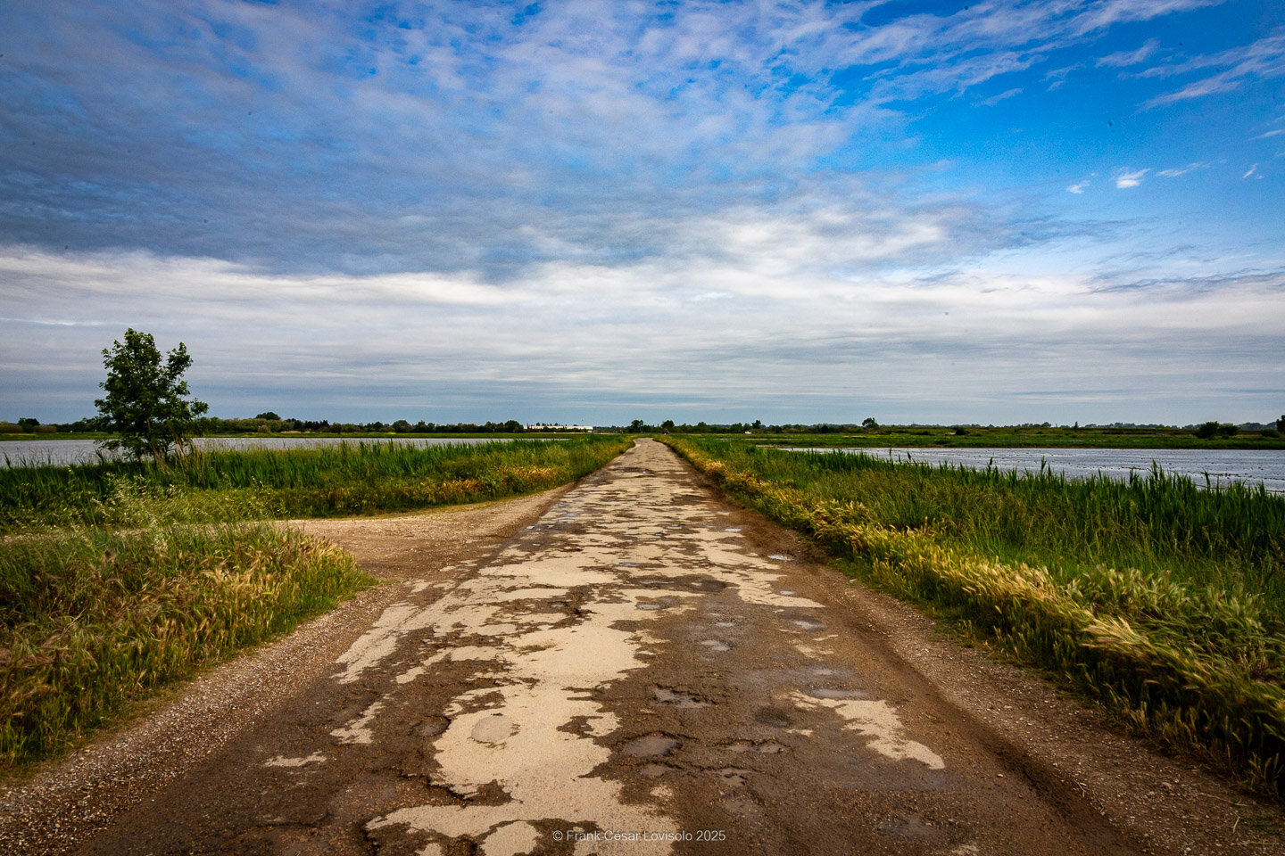 accumulation,périgrination,Photographies - Photographies - Frank César LOVISOLO - L’accumulation est une technique artistique popularisée par Arman, artiste français qui l’a beaucoup travaillée et théorisée. Tel qu’Arman la définit et la produit, l’accumulation est un rassemblement d’objets identiques dans une très grande quantité, généralement fondue dans du plexiglas.