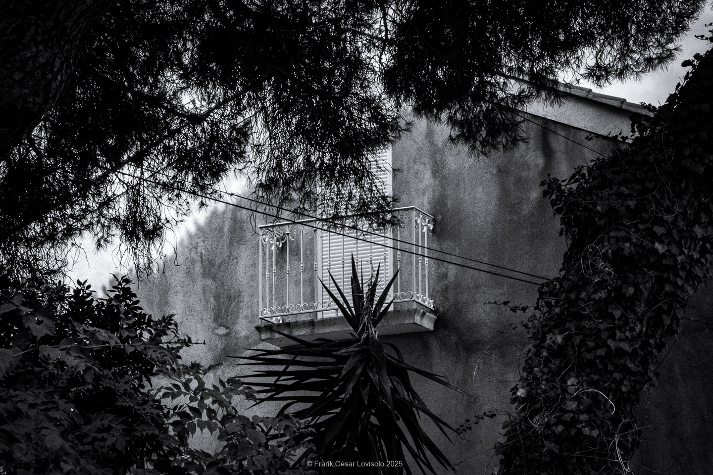 accumulation,périgrination,Photographies - Photographies - Frank César LOVISOLO - L’accumulation est une technique artistique popularisée par Arman, artiste français qui l’a beaucoup travaillée et théorisée. Tel qu’Arman la définit et la produit, l’accumulation est un rassemblement d’objets identiques dans une très grande quantité, généralement fondue dans du plexiglas.