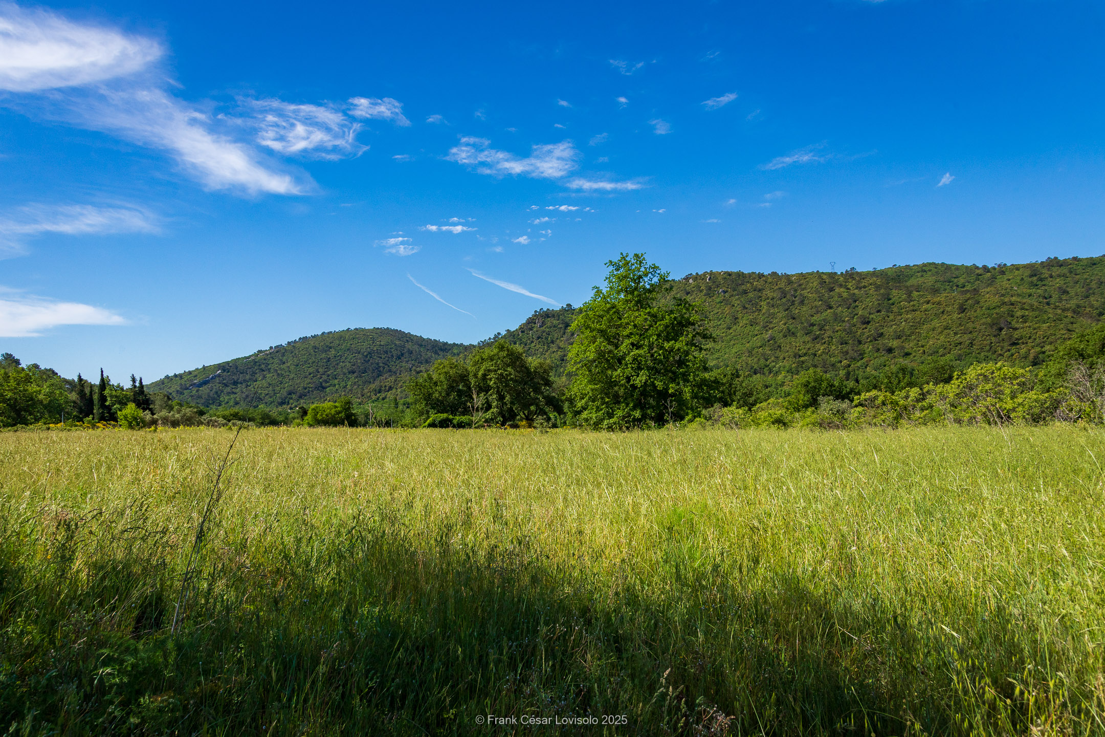 accumulation,périgrination,Photographies - Photographies - Frank César LOVISOLO - L’accumulation est une technique artistique popularisée par Arman, artiste français qui l’a beaucoup travaillée et théorisée. Tel qu’Arman la définit et la produit, l’accumulation est un rassemblement d’objets identiques dans une très grande quantité, généralement fondue dans du plexiglas.