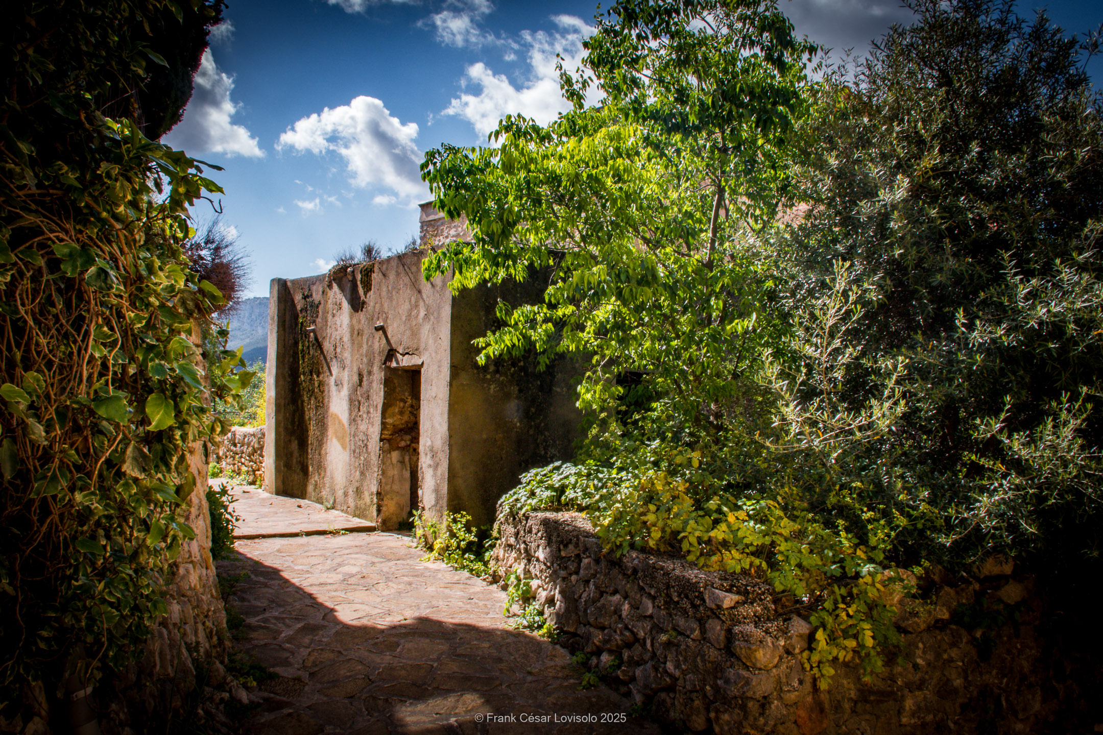 accumulation,périgrination,Photographies - Photographies - Frank César LOVISOLO - L’accumulation est une technique artistique popularisée par Arman, artiste français qui l’a beaucoup travaillée et théorisée. Tel qu’Arman la définit et la produit, l’accumulation est un rassemblement d’objets identiques dans une très grande quantité, généralement fondue dans du plexiglas.
