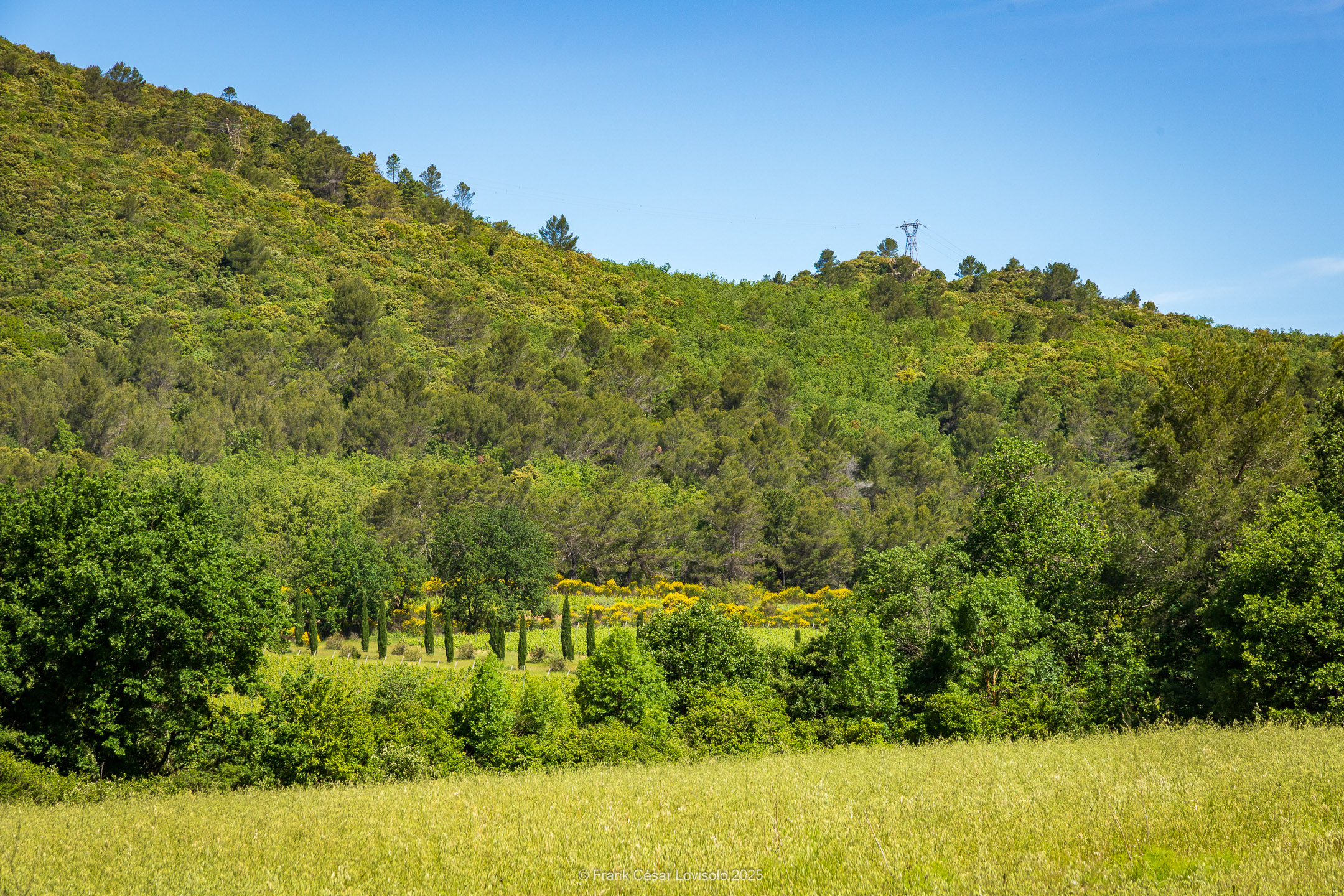 accumulation,périgrination,Photographies - Photographies - Frank César LOVISOLO - L’accumulation est une technique artistique popularisée par Arman, artiste français qui l’a beaucoup travaillée et théorisée. Tel qu’Arman la définit et la produit, l’accumulation est un rassemblement d’objets identiques dans une très grande quantité, généralement fondue dans du plexiglas.