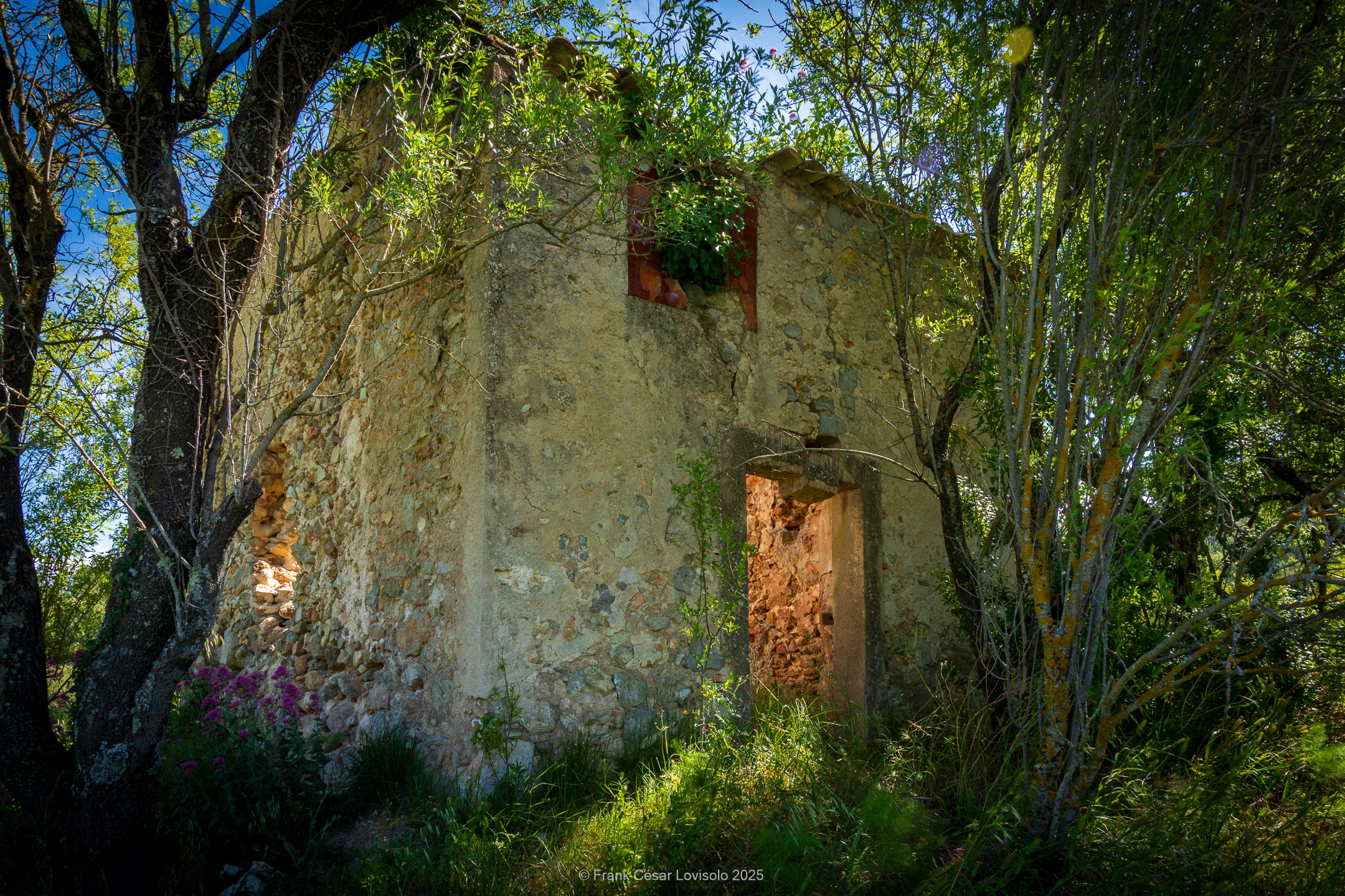 accumulation,périgrination,Photographies - Photographies - Frank César LOVISOLO - L’accumulation est une technique artistique popularisée par Arman, artiste français qui l’a beaucoup travaillée et théorisée. Tel qu’Arman la définit et la produit, l’accumulation est un rassemblement d’objets identiques dans une très grande quantité, généralement fondue dans du plexiglas.