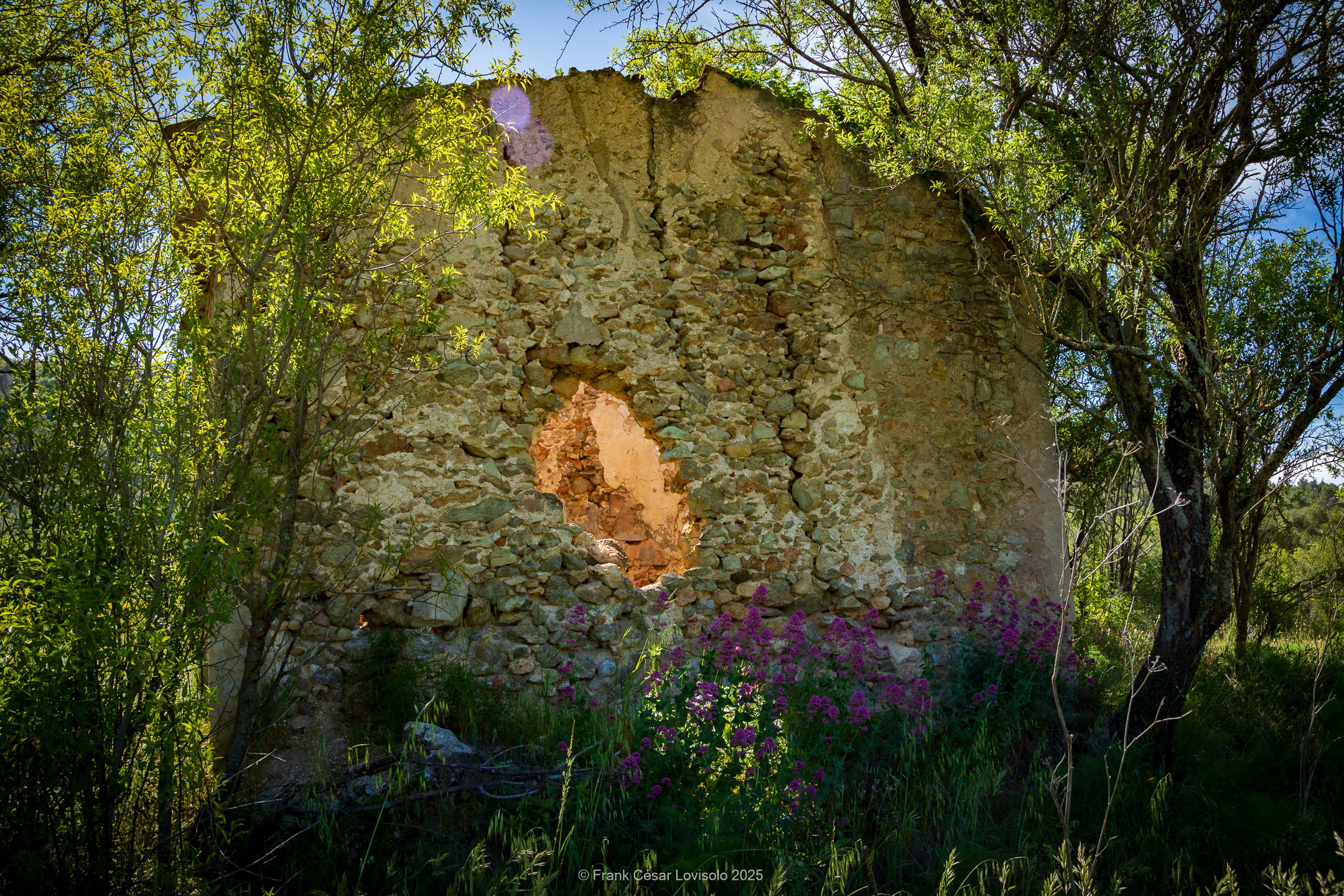 accumulation,périgrination,Photographies - Photographies - Frank César LOVISOLO - L’accumulation est une technique artistique popularisée par Arman, artiste français qui l’a beaucoup travaillée et théorisée. Tel qu’Arman la définit et la produit, l’accumulation est un rassemblement d’objets identiques dans une très grande quantité, généralement fondue dans du plexiglas.