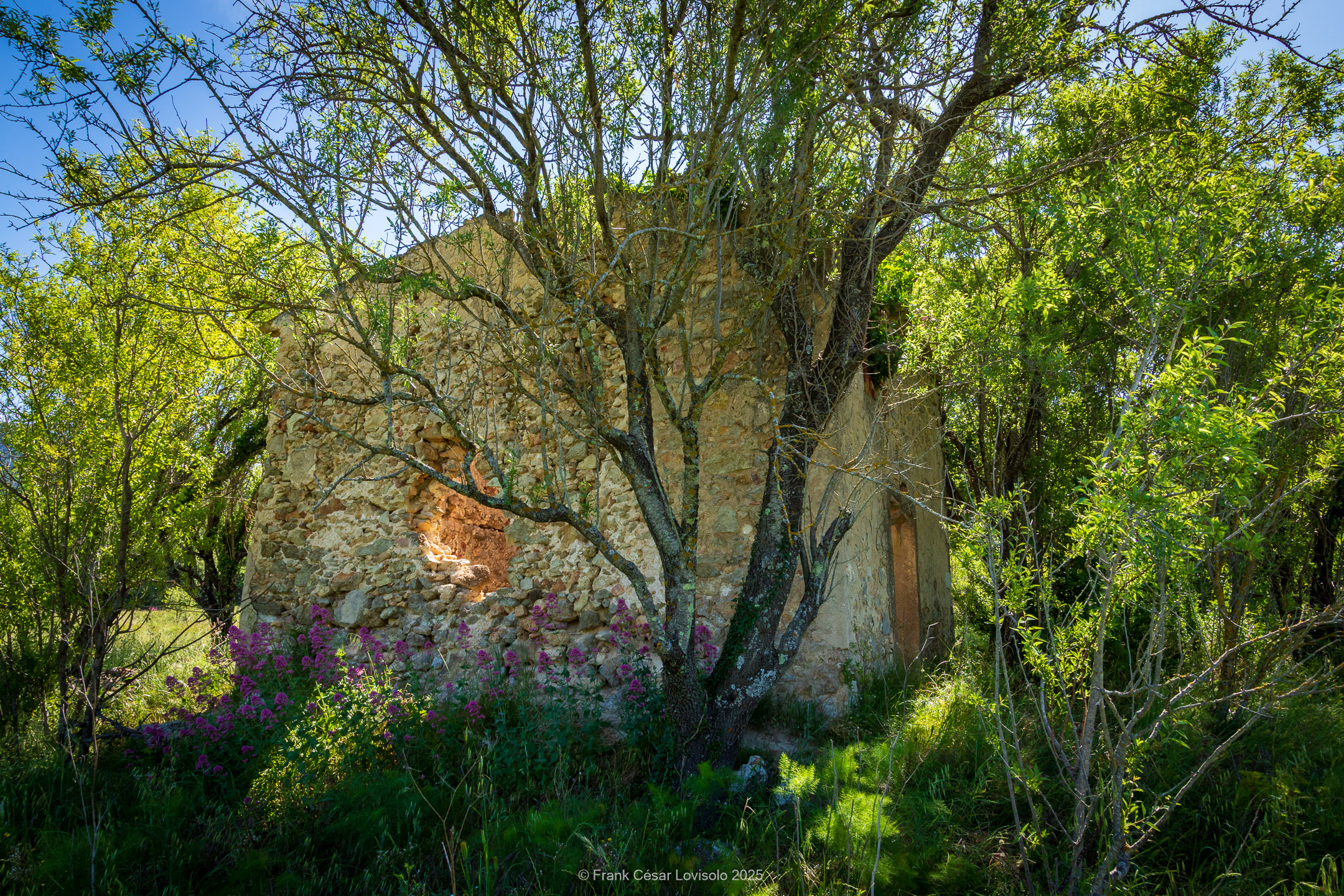 accumulation,périgrination,Photographies - Photographies - Frank César LOVISOLO - L’accumulation est une technique artistique popularisée par Arman, artiste français qui l’a beaucoup travaillée et théorisée. Tel qu’Arman la définit et la produit, l’accumulation est un rassemblement d’objets identiques dans une très grande quantité, généralement fondue dans du plexiglas.