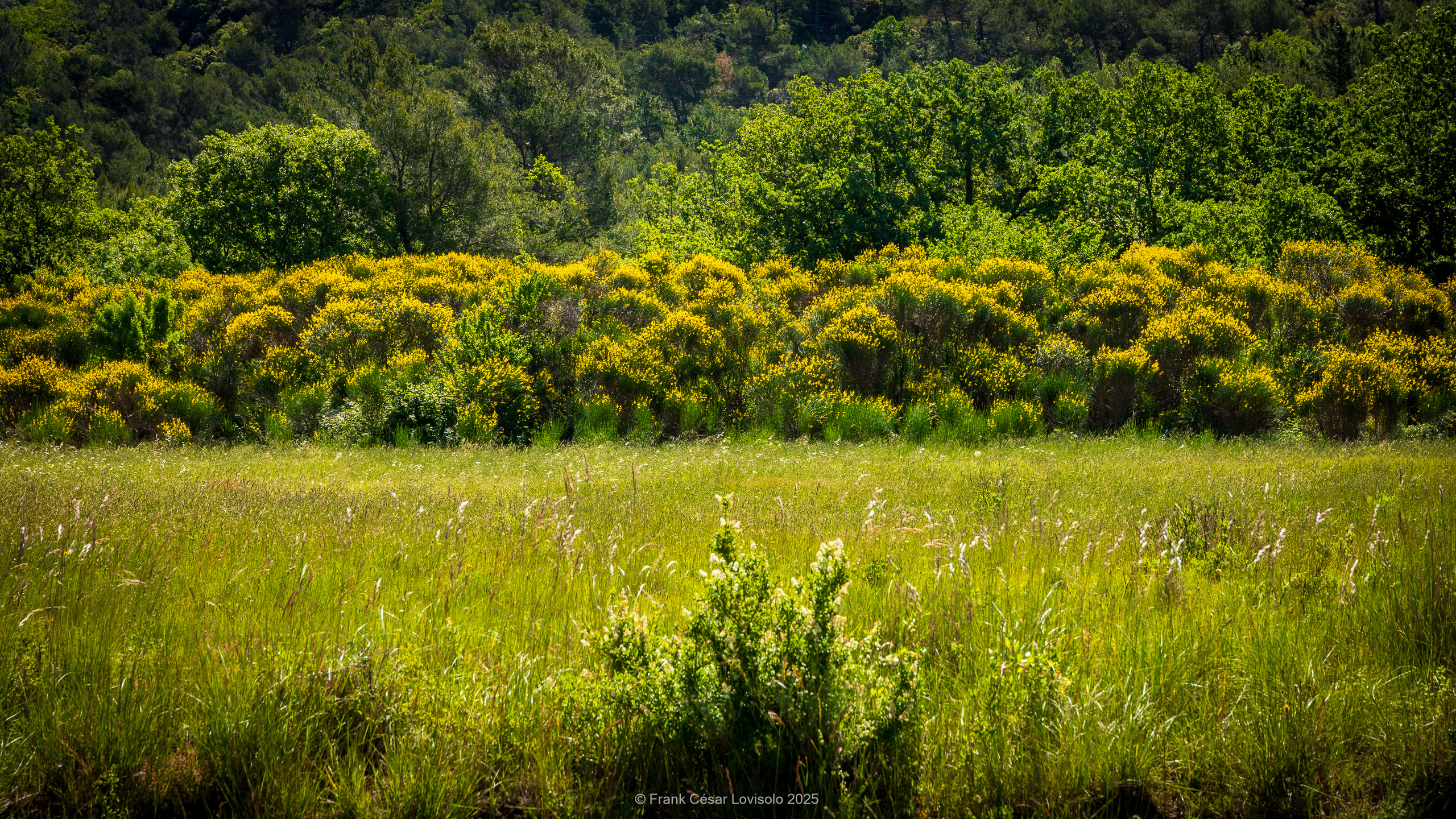accumulation,périgrination,Photographies - Photographies - Frank César LOVISOLO - L’accumulation est une technique artistique popularisée par Arman, artiste français qui l’a beaucoup travaillée et théorisée. Tel qu’Arman la définit et la produit, l’accumulation est un rassemblement d’objets identiques dans une très grande quantité, généralement fondue dans du plexiglas.