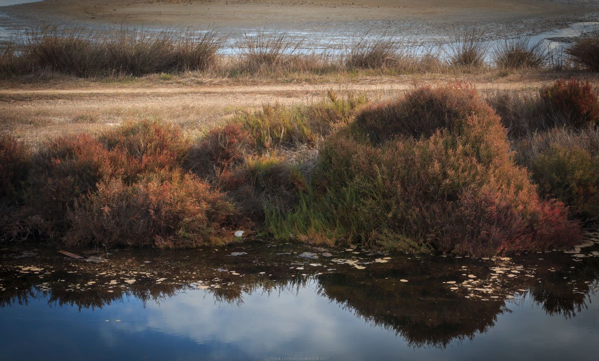 accumulation,périgrination,Photographies - Photographies - Frank César LOVISOLO - L’accumulation est une technique artistique popularisée par Arman, artiste français qui l’a beaucoup travaillée et théorisée. Tel qu’Arman la définit et la produit, l’accumulation est un rassemblement d’objets identiques dans une très grande quantité, généralement fondue dans du plexiglas.