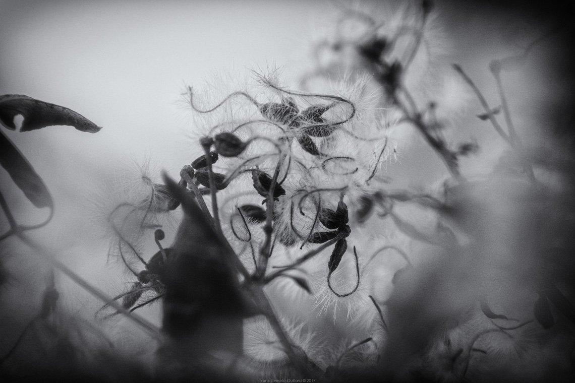 accumulation,périgrination,Photographies - Photographies - Frank César LOVISOLO - L’accumulation est une technique artistique popularisée par Arman, artiste français qui l’a beaucoup travaillée et théorisée. Tel qu’Arman la définit et la produit, l’accumulation est un rassemblement d’objets identiques dans une très grande quantité, généralement fondue dans du plexiglas.