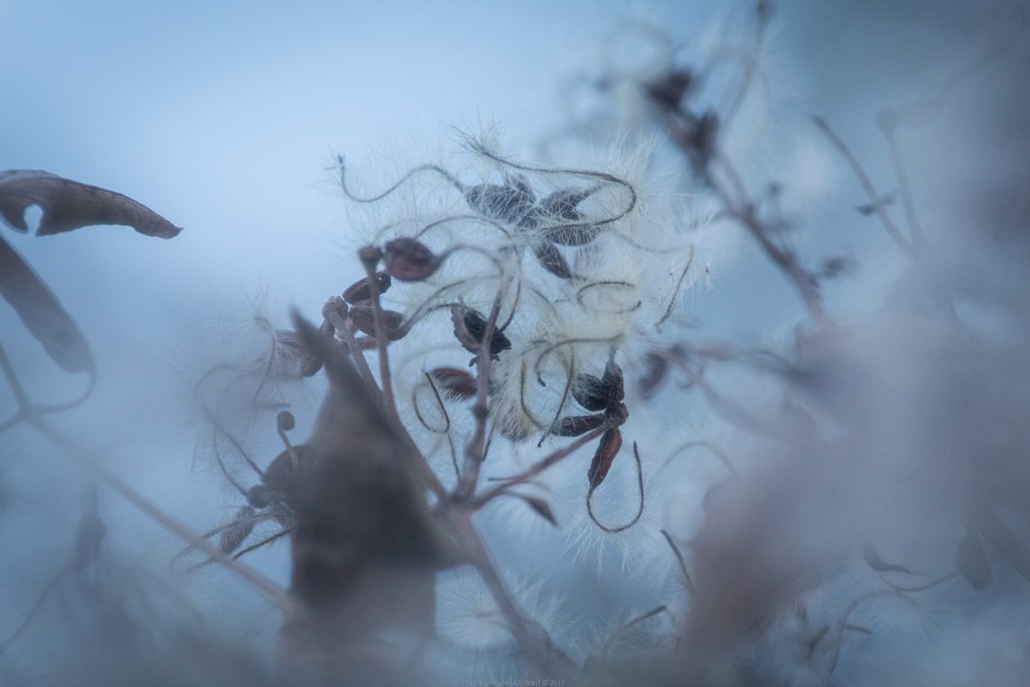 accumulation,périgrination,Photographies - Photographies - Frank César LOVISOLO - L’accumulation est une technique artistique popularisée par Arman, artiste français qui l’a beaucoup travaillée et théorisée. Tel qu’Arman la définit et la produit, l’accumulation est un rassemblement d’objets identiques dans une très grande quantité, généralement fondue dans du plexiglas.