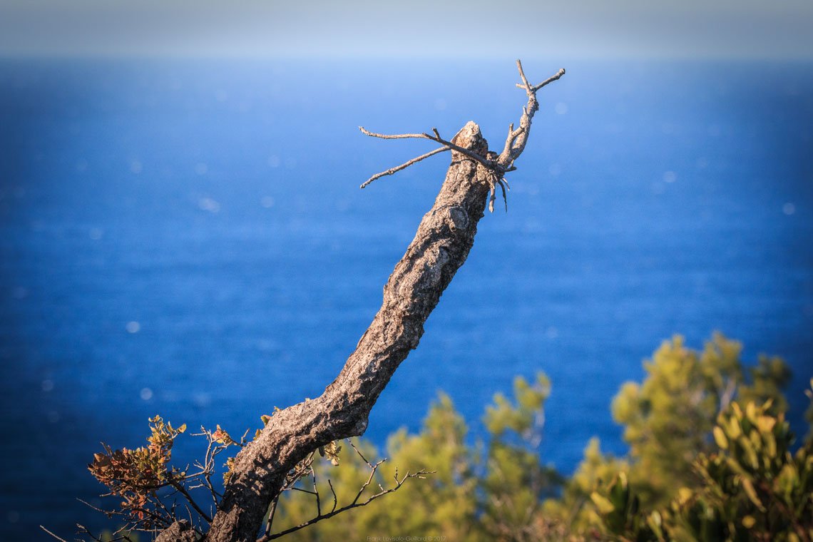 accumulation,périgrination,Photographies - Photographies - Frank César LOVISOLO - L’accumulation est une technique artistique popularisée par Arman, artiste français qui l’a beaucoup travaillée et théorisée. Tel qu’Arman la définit et la produit, l’accumulation est un rassemblement d’objets identiques dans une très grande quantité, généralement fondue dans du plexiglas.