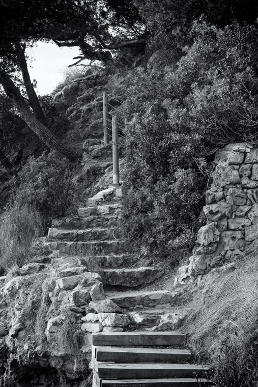 accumulation,périgrination,Photographies - Photographies - Frank César LOVISOLO - L’accumulation est une technique artistique popularisée par Arman, artiste français qui l’a beaucoup travaillée et théorisée. Tel qu’Arman la définit et la produit, l’accumulation est un rassemblement d’objets identiques dans une très grande quantité, généralement fondue dans du plexiglas.