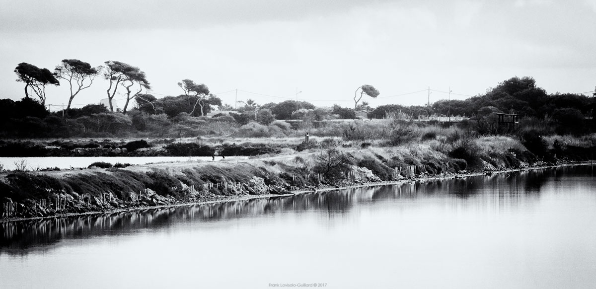 accumulation,périgrination,Photographies - Photographies - Frank César LOVISOLO - L’accumulation est une technique artistique popularisée par Arman, artiste français qui l’a beaucoup travaillée et théorisée. Tel qu’Arman la définit et la produit, l’accumulation est un rassemblement d’objets identiques dans une très grande quantité, généralement fondue dans du plexiglas.