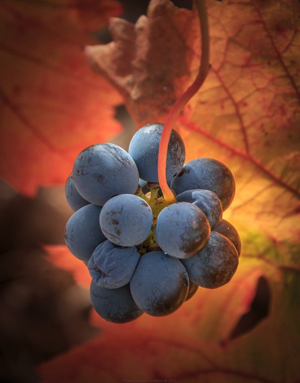 accumulation,périgrination,Photographies - Photographies - Frank César LOVISOLO - L’accumulation est une technique artistique popularisée par Arman, artiste français qui l’a beaucoup travaillée et théorisée. Tel qu’Arman la définit et la produit, l’accumulation est un rassemblement d’objets identiques dans une très grande quantité, généralement fondue dans du plexiglas.