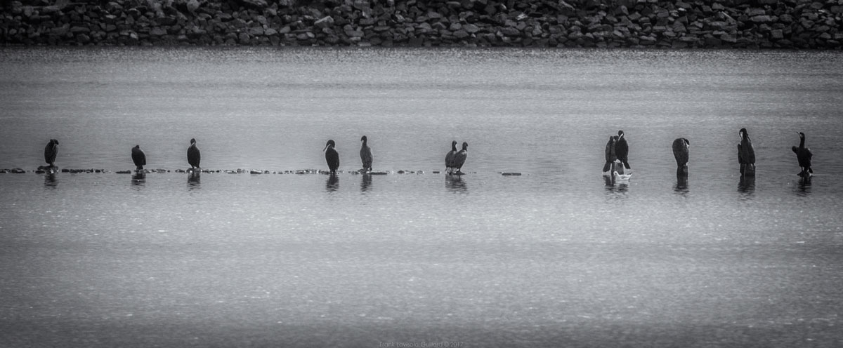 accumulation,périgrination,Photographies - Photographies - Frank César LOVISOLO - L’accumulation est une technique artistique popularisée par Arman, artiste français qui l’a beaucoup travaillée et théorisée. Tel qu’Arman la définit et la produit, l’accumulation est un rassemblement d’objets identiques dans une très grande quantité, généralement fondue dans du plexiglas.