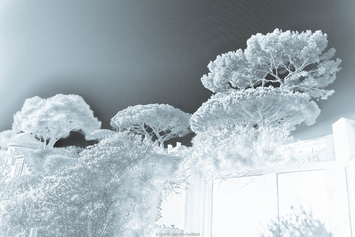 accumulation,périgrination,Photographies - Photographies - Frank César LOVISOLO - L’accumulation est une technique artistique popularisée par Arman, artiste français qui l’a beaucoup travaillée et théorisée. Tel qu’Arman la définit et la produit, l’accumulation est un rassemblement d’objets identiques dans une très grande quantité, généralement fondue dans du plexiglas.
