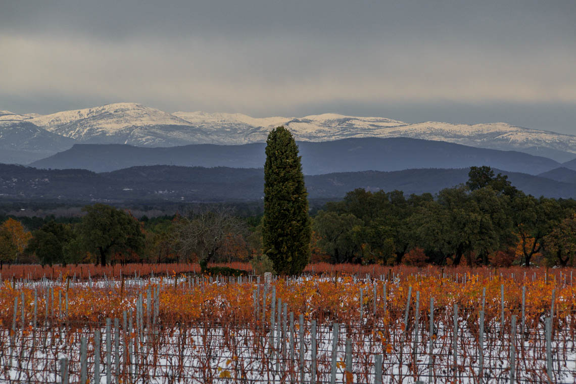 accumulation,périgrination,Photographies - Photographies - Frank César LOVISOLO - L’accumulation est une technique artistique popularisée par Arman, artiste français qui l’a beaucoup travaillée et théorisée. Tel qu’Arman la définit et la produit, l’accumulation est un rassemblement d’objets identiques dans une très grande quantité, généralement fondue dans du plexiglas.