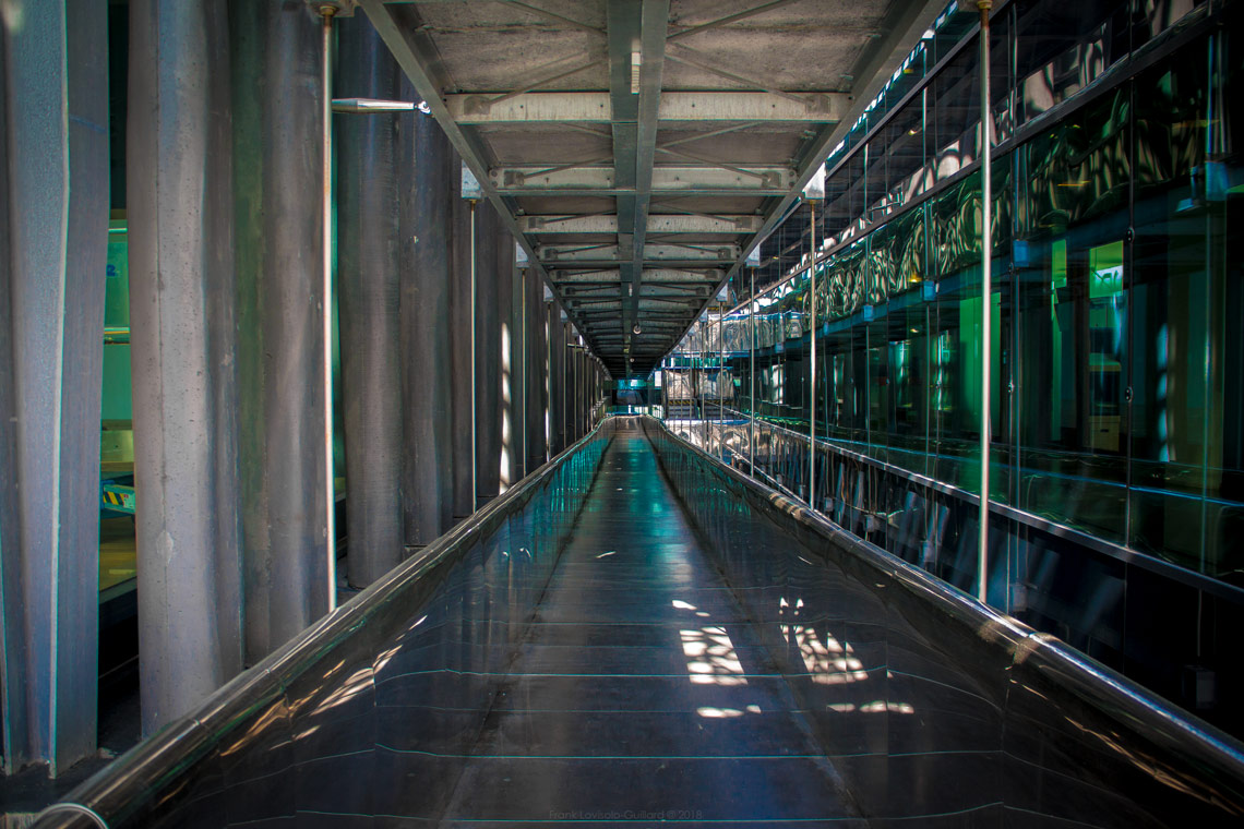 accumulation,périgrination,Photographies - Photographies - Frank César LOVISOLO - L’accumulation est une technique artistique popularisée par Arman, artiste français qui l’a beaucoup travaillée et théorisée. Tel qu’Arman la définit et la produit, l’accumulation est un rassemblement d’objets identiques dans une très grande quantité, généralement fondue dans du plexiglas.