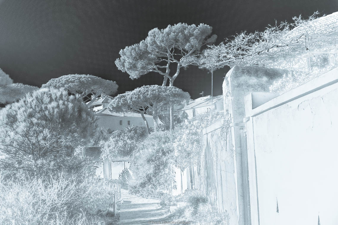 accumulation,périgrination,Photographies - Photographies - Frank César LOVISOLO - L’accumulation est une technique artistique popularisée par Arman, artiste français qui l’a beaucoup travaillée et théorisée. Tel qu’Arman la définit et la produit, l’accumulation est un rassemblement d’objets identiques dans une très grande quantité, généralement fondue dans du plexiglas.