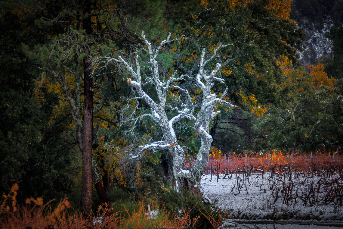 accumulation,périgrination,Photographies - Photographies - Frank César LOVISOLO - L’accumulation est une technique artistique popularisée par Arman, artiste français qui l’a beaucoup travaillée et théorisée. Tel qu’Arman la définit et la produit, l’accumulation est un rassemblement d’objets identiques dans une très grande quantité, généralement fondue dans du plexiglas.