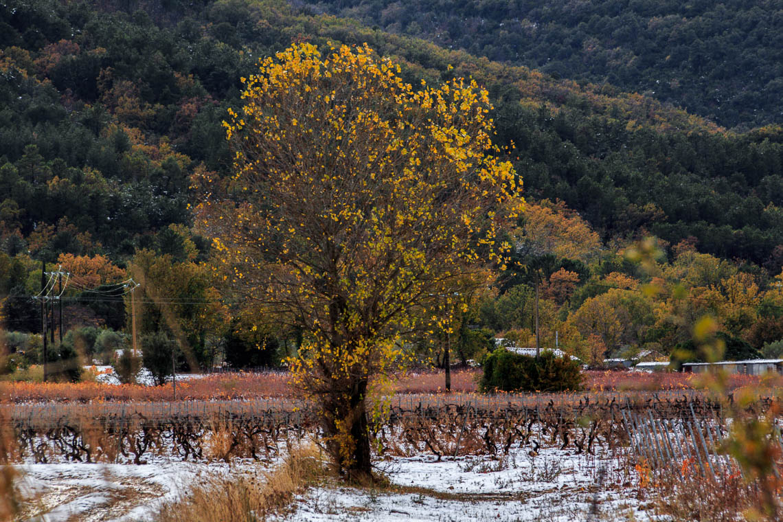 accumulation,périgrination,Photographies - Photographies - Frank César LOVISOLO - L’accumulation est une technique artistique popularisée par Arman, artiste français qui l’a beaucoup travaillée et théorisée. Tel qu’Arman la définit et la produit, l’accumulation est un rassemblement d’objets identiques dans une très grande quantité, généralement fondue dans du plexiglas.