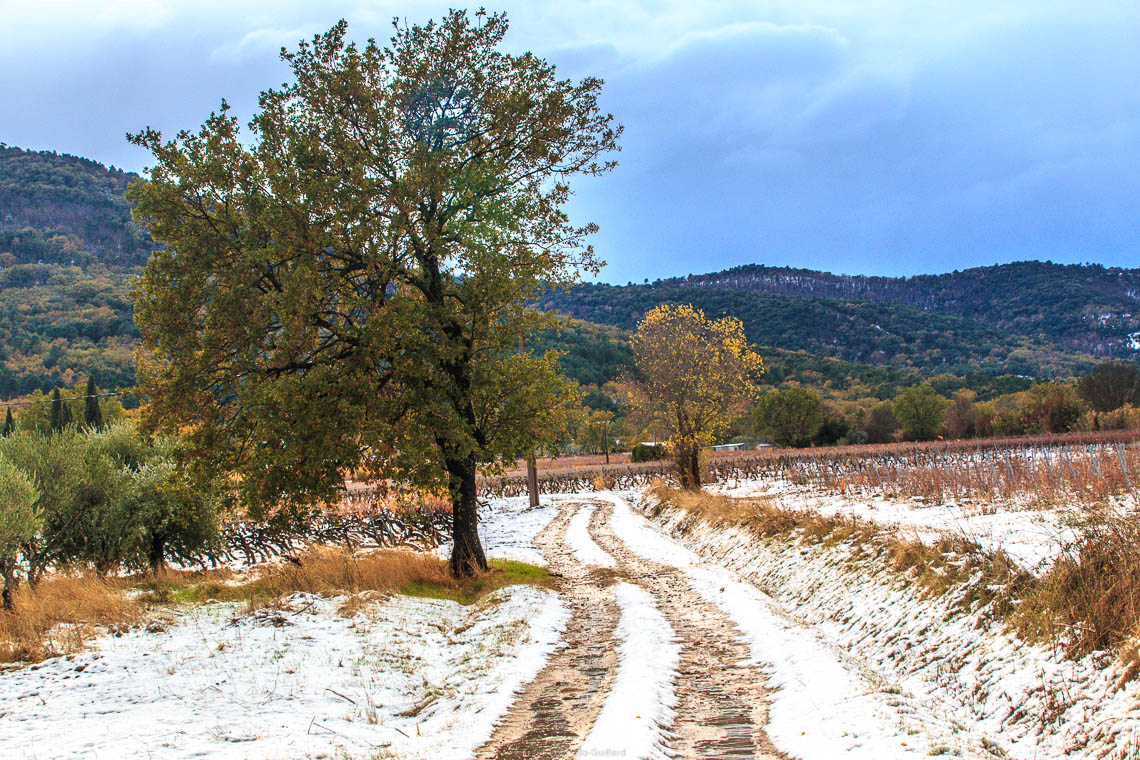 accumulation,périgrination,Photographies - Photographies - Frank César LOVISOLO - L’accumulation est une technique artistique popularisée par Arman, artiste français qui l’a beaucoup travaillée et théorisée. Tel qu’Arman la définit et la produit, l’accumulation est un rassemblement d’objets identiques dans une très grande quantité, généralement fondue dans du plexiglas.